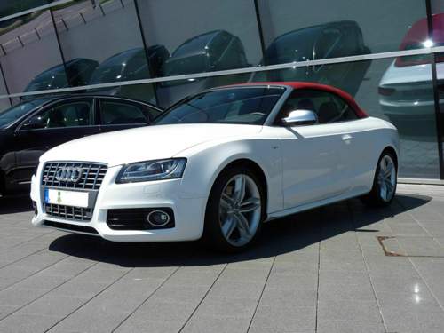 Bild-3