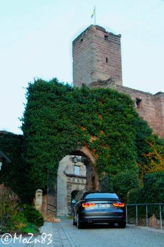 Img-7232