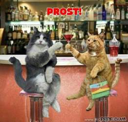 Prost-6