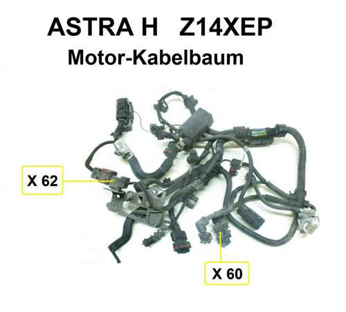 Motorkabelbaum Z14XEP