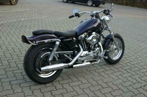 Sporty-intruder