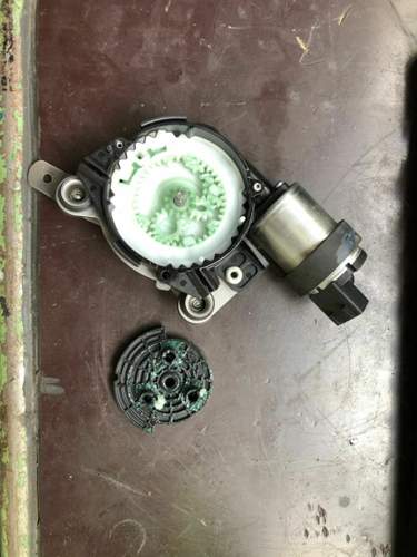 Lordosenstuetze Motor links.jpg