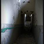 P1100130