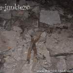 P1050846lp30