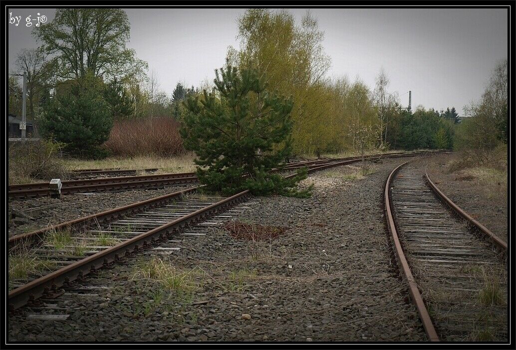 Lost Places - Train 2 Nowhere oder Eisenbahnromantik