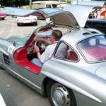 Gullwing