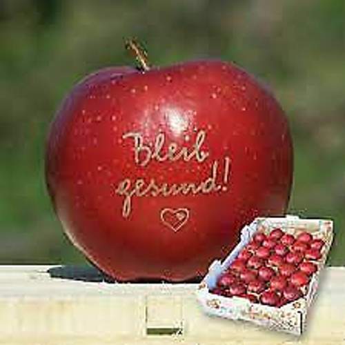 Bleib gesund