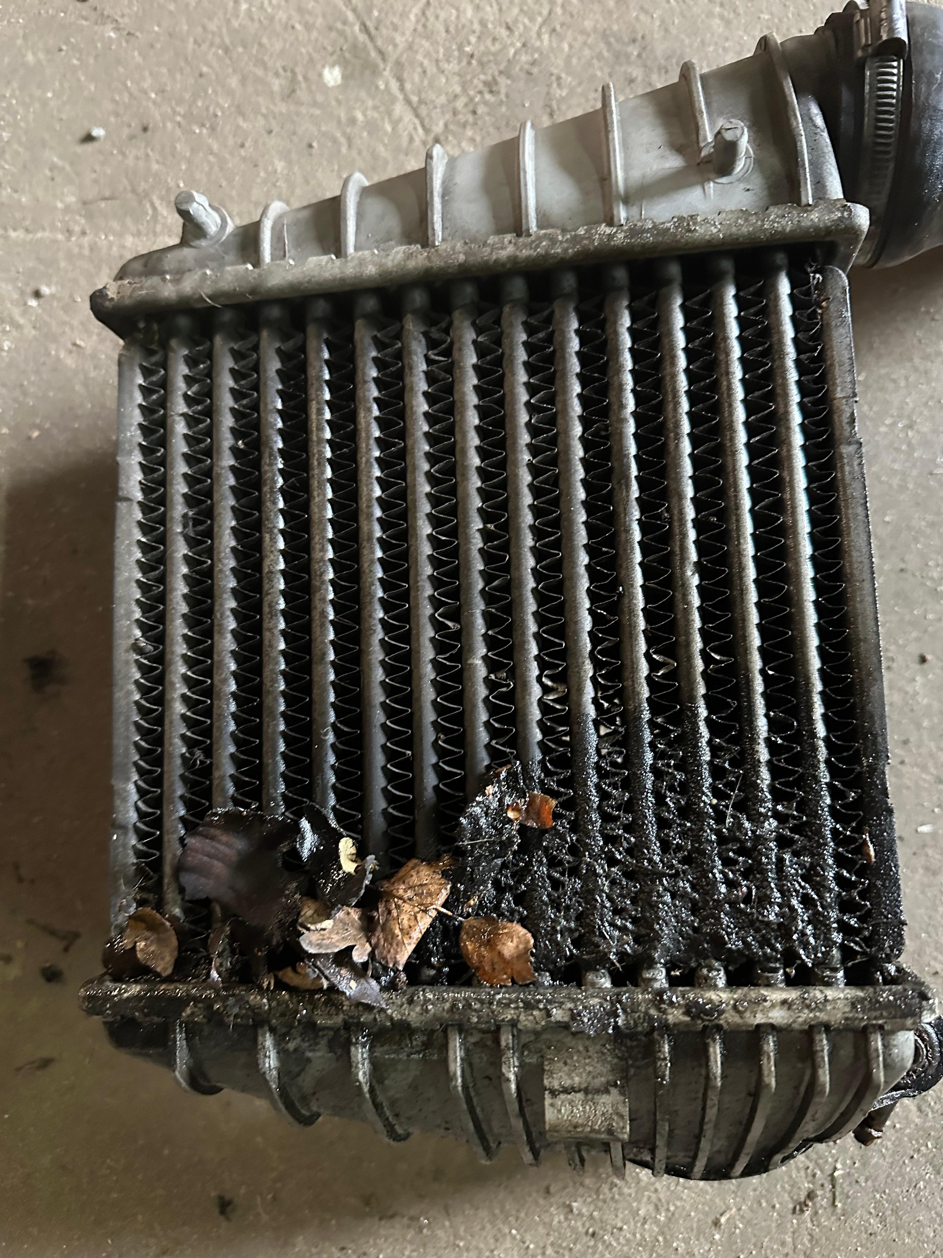 Lüftermotor / Kühlerventilator funktioniert nur auf Stufe 2