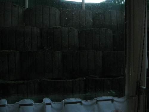 Img-0458