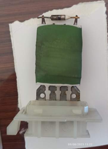 Img-20230810