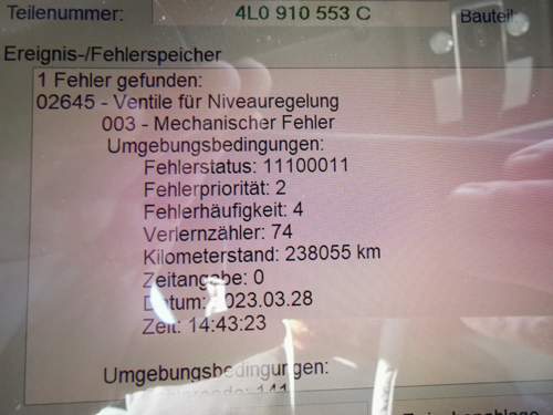 Bild.jpg