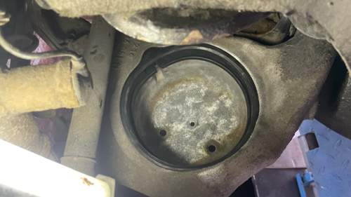 Dichtungsring anprobe