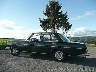 New-w108-baummotiv