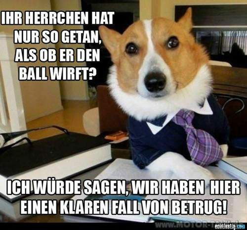 Herrschen-hat-nur-so-getan-als-ob-er-den-ball-wirft-das-ist-betrug