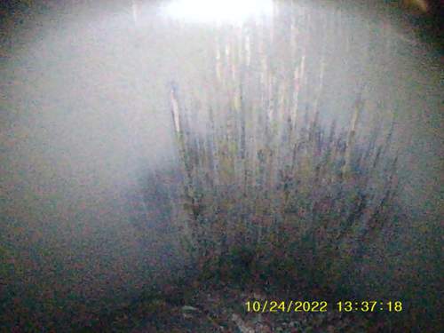 Sunp0018
