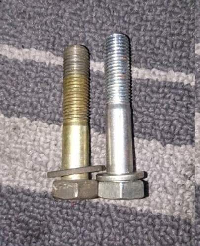 Dsc-1955