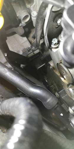 Img-20210314