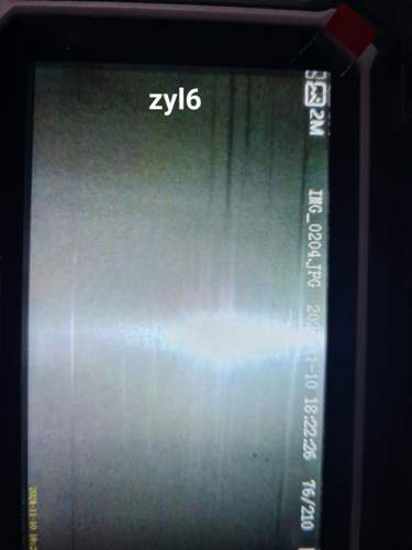 20241110_155525.jpg