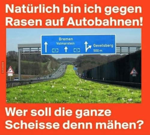 Rasen-auf-der-ab