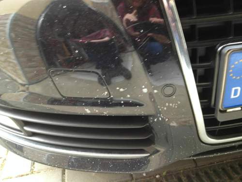 Img-1539
