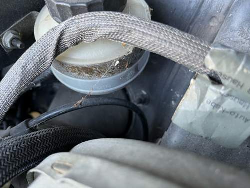 Anderer G 400 CDI ohne Ring.jpg