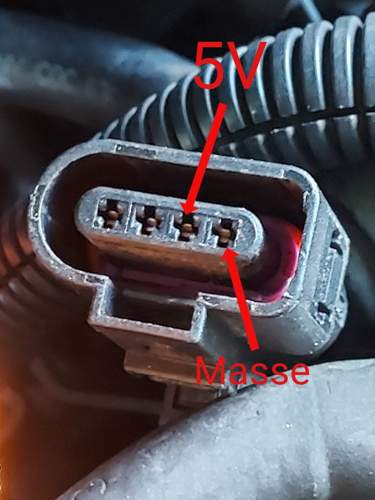1653759600697.jpg