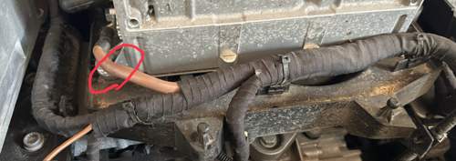 Marderbiss am brauen Kabel zum E-Motor