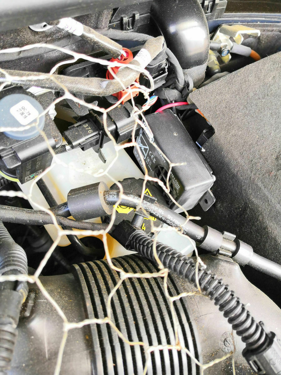 Marderschaden 1.6 TDI (schon zum mal)