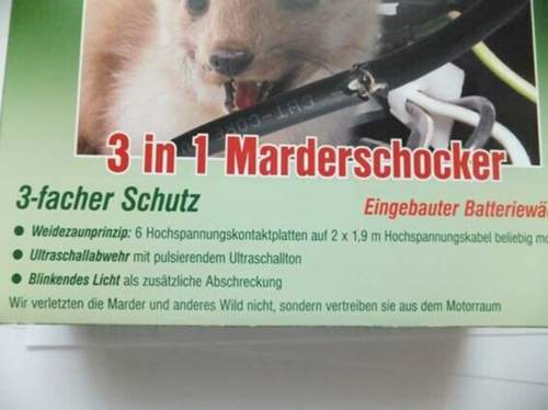 Marder5