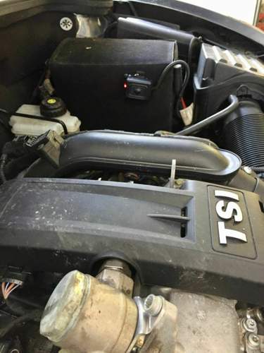 Img-1731