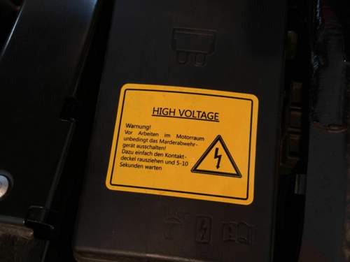 Img-4412