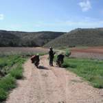 Caminando