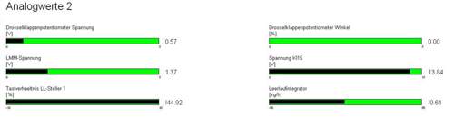 Analogwerte Laufunruhe