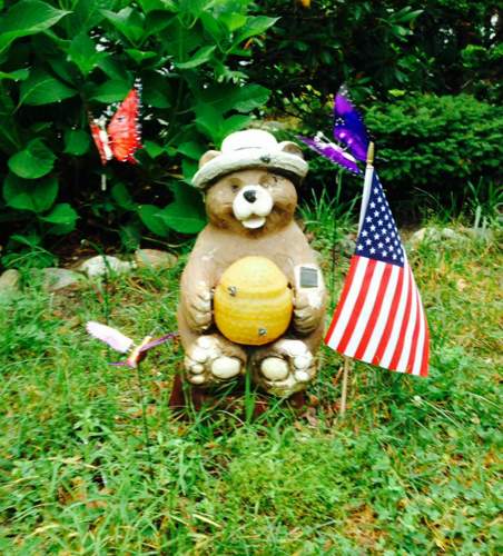 Independence-bearsie