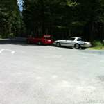 Img-0781