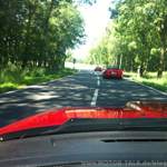 Img-1184