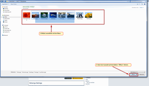 Bildupload-2