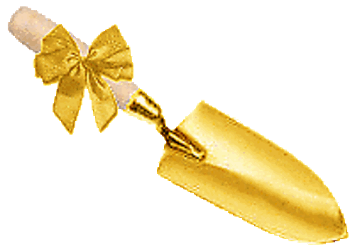 Goldene-schaufel1