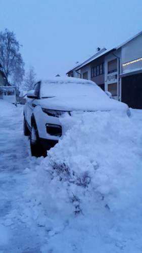 Schnee