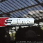 S line Logo