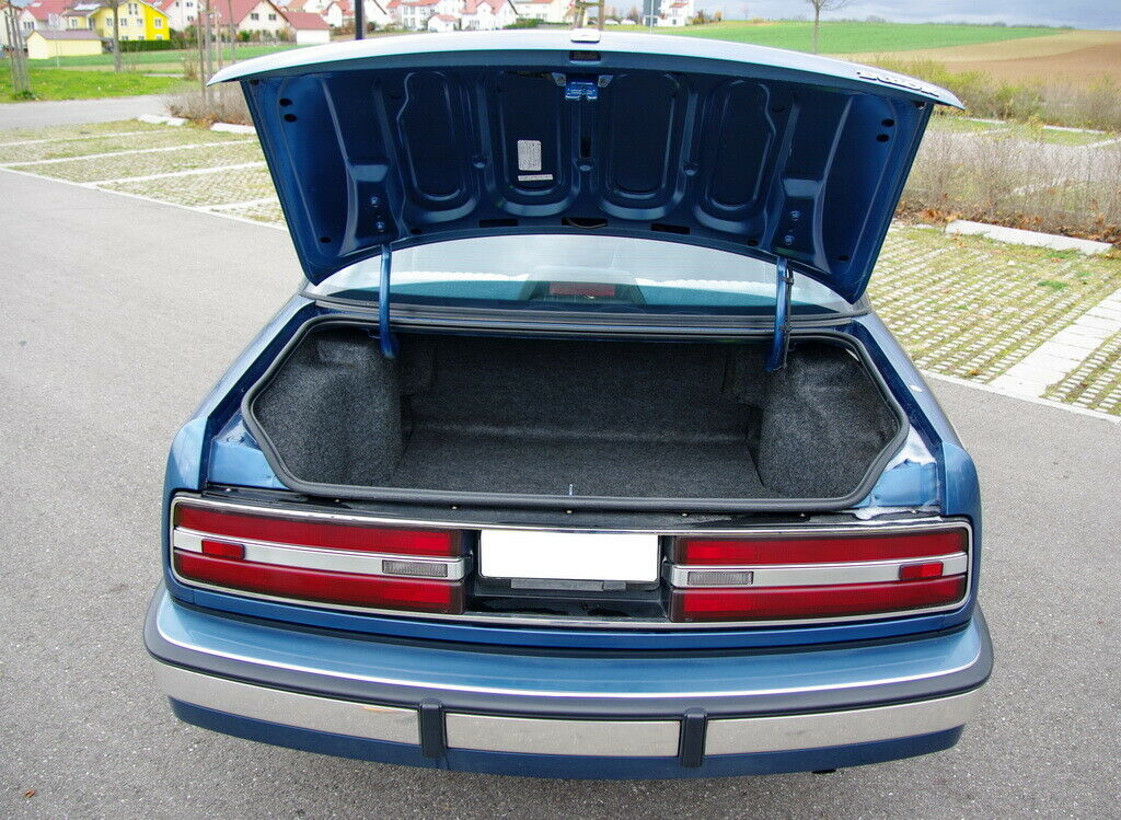 Mein neuer Daily - 90er Buick Regal