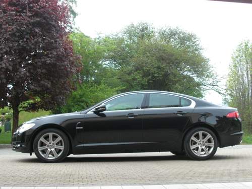 XF