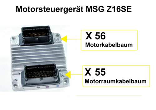 MSG - Steckeranschluss