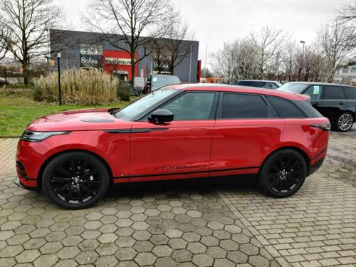 Velar rot