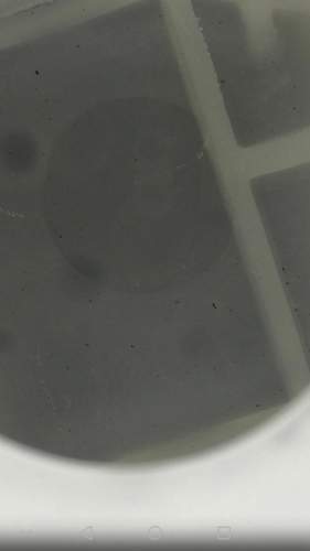 Screenshot_20180521-122957.jpg