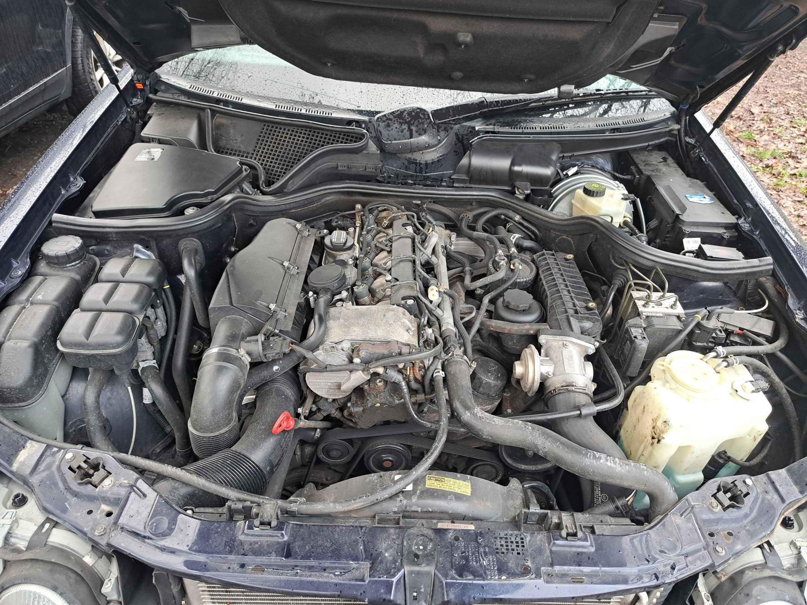 Mercedes Benz W210 E220 CDI Verkauf Biete mercedes-benz-w210-e220-cdi-verkauf-biete