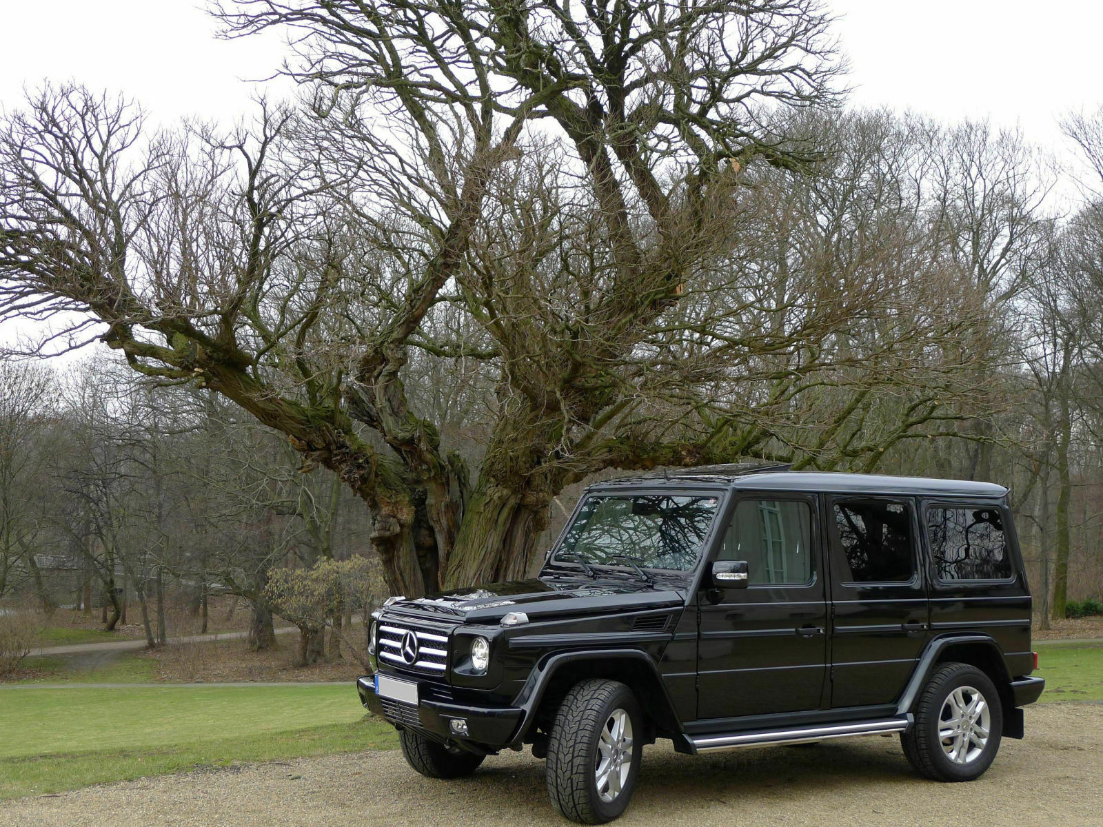 Mercedes G-Klasse W463 350 Bluetec Test