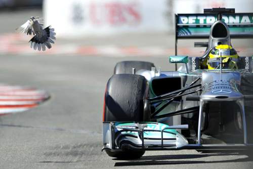 Nico Rosberg gewann in Monaco, was es zu gewinnen gab: alle Trainings, das Qualifying und das Rennen