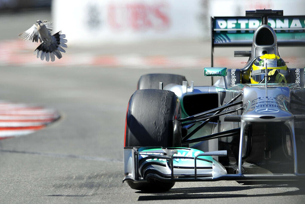 Nico Rosberg gewann in Monaco, was es zu gewinnen gab: alle Trainings, das Qualifying und das Rennen