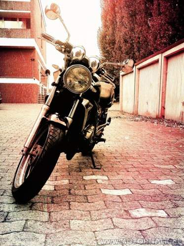 Img-0190